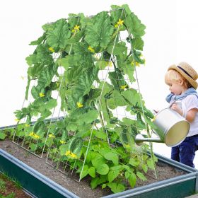 A-Frame Cucumber Trellis 35' X 55' Foldable Metal Garden Trellis (Option: Silver)