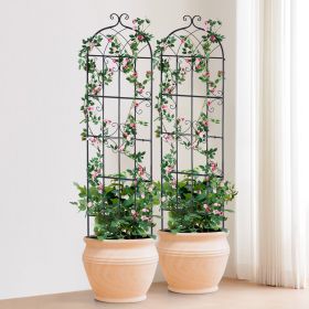 2 Packs Metal Garden Trellis For Climbing Plant Support 71x20 In Rustproof (Option: Black)