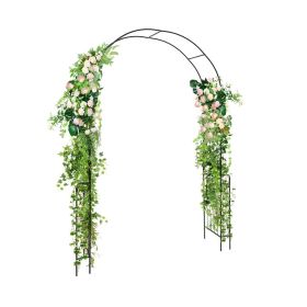 7.9 Feet Metal Garden Arch Backdrop Stand with Fence for Climbing Plants (Main Material: Metal, Main Color: Black)